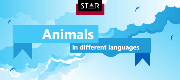 Most Popular Animal Names In Different Languages 