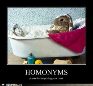 Homonyms: prevent shampooing your hare, we found this humerus