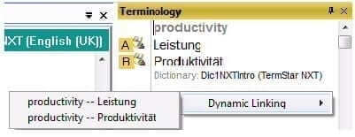 Terminology window